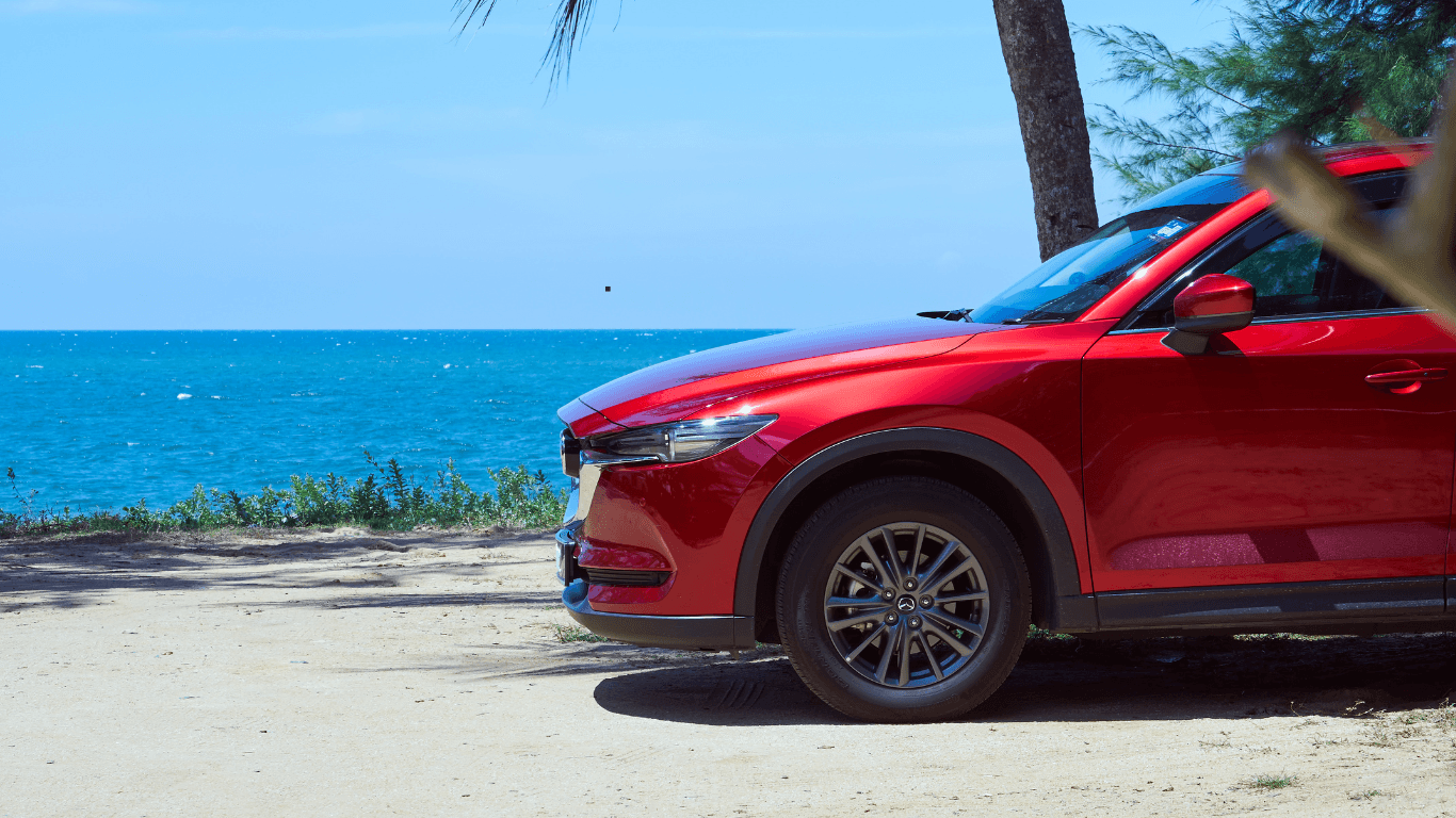 Scenic Goa Beach Road with palm trees and coastal views